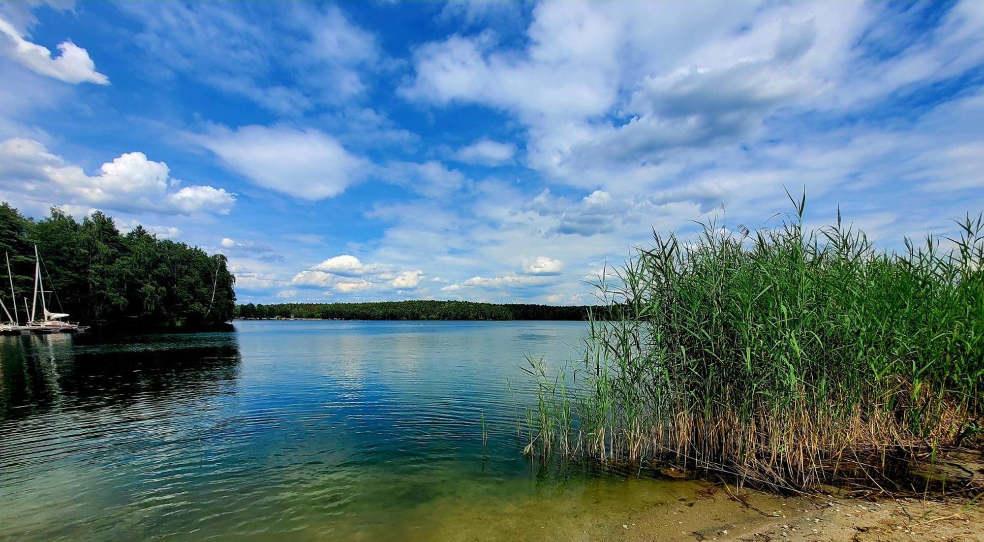 Ferienwohnung Seeglueck Im Oberpfaelzer Seenland ชวานดอร์ฟ อิน บาเยิร์น ภายนอก รูปภาพ